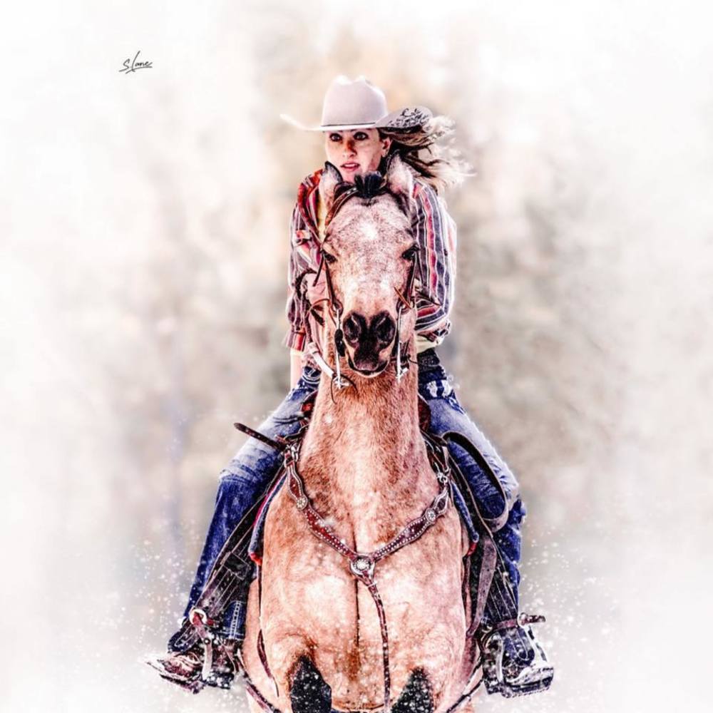 Meet your Posher, Jasmine